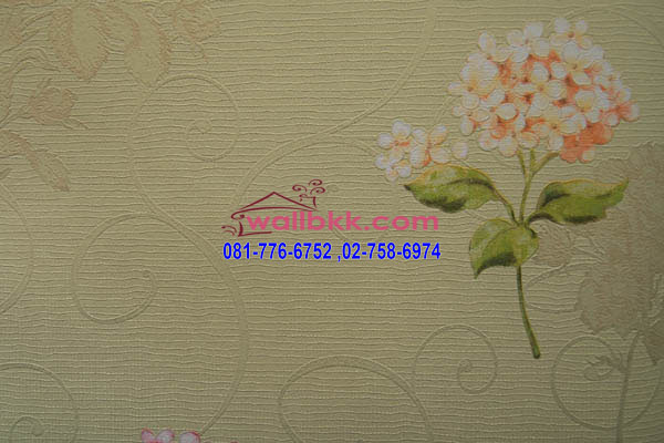 CLH45-049 wallpaper หน้ากว้าง เกาหลี
